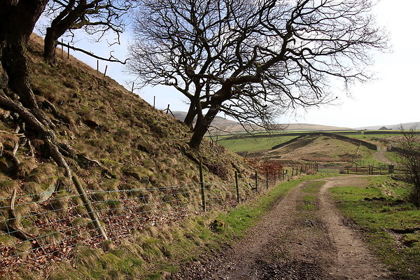 doctorsgate009 doctorsgate009