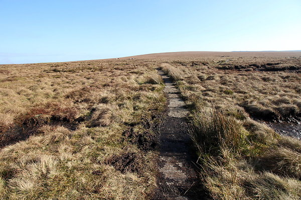 ashopmoor008 ashopmoor008