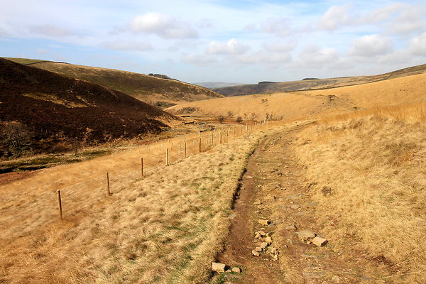 doctorsgate021 doctorsgate021