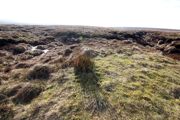 ashopmoor005 ashopmoor005