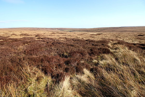 snakepasspennineway010 snakepasspennineway010