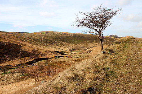 doctorsgate020 doctorsgate020