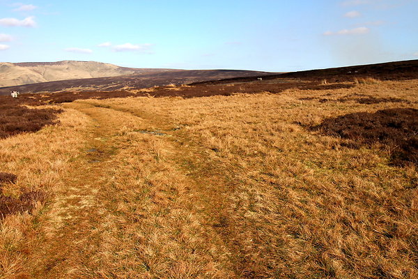 hurstmoor040 hurstmoor040