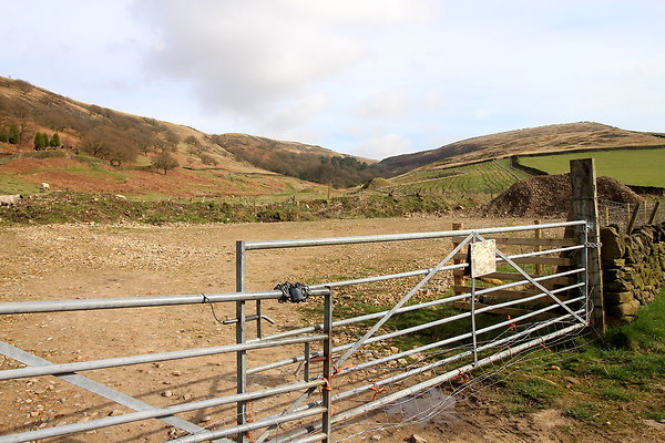 doctorsgate003 doctorsgate003