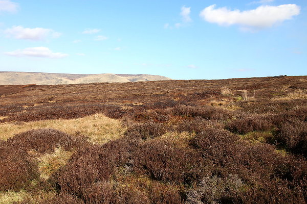 hurstmoor018 hurstmoor018