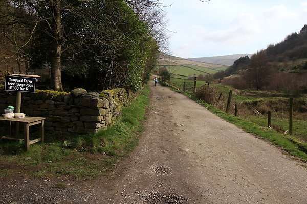 doctorsgate001 doctorsgate001