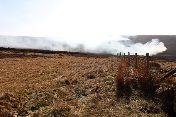 hurstmoor032 hurstmoor032