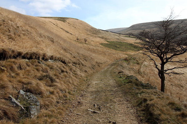 doctorsgate019 doctorsgate019