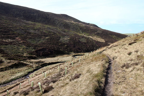 doctorsgate024 doctorsgate024