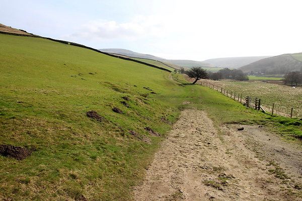 doctorsgate004 doctorsgate004