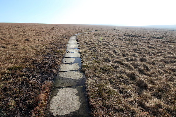 ashopmoor009 ashopmoor009