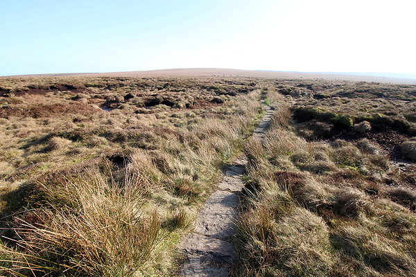 ashopmoor006 ashopmoor006