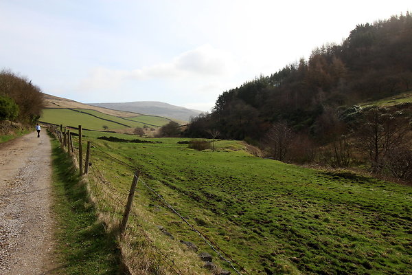 doctorsgate002 doctorsgate002