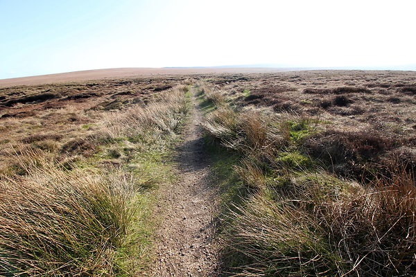 ashopmoor003 ashopmoor003