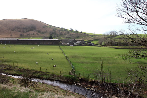 doctorsgate008 doctorsgate008