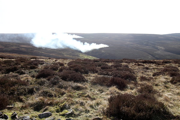 hurstmoor028 hurstmoor028