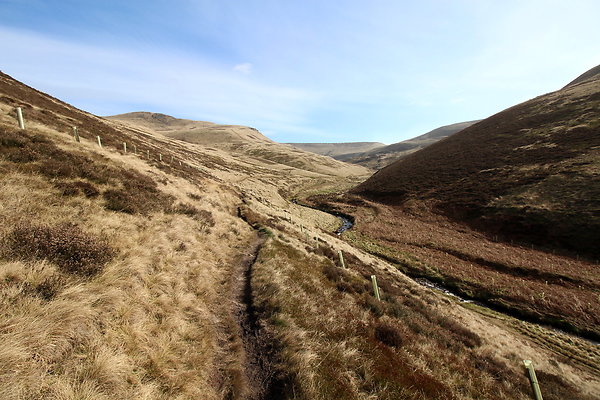 doctorsgate025 doctorsgate025