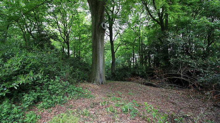 cholmondley055 cholmondley055