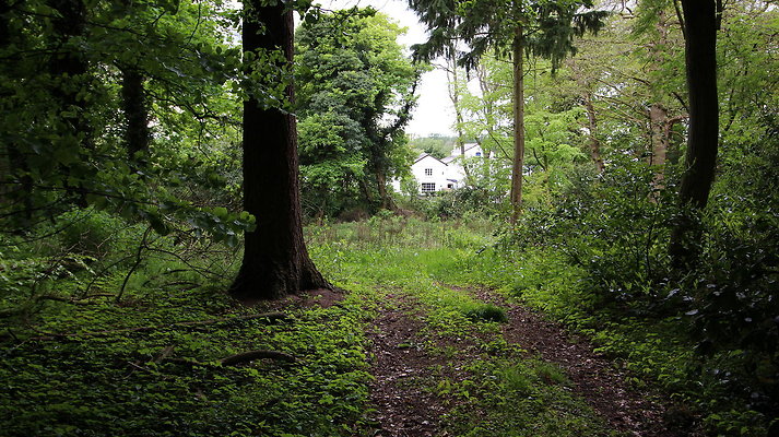 cholmondley053 cholmondley053