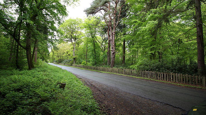 cholmondley004 cholmondley004