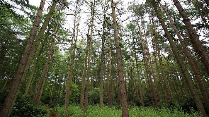 cholmondley036 cholmondley036