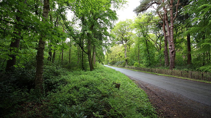 cholmondley003 cholmondley003