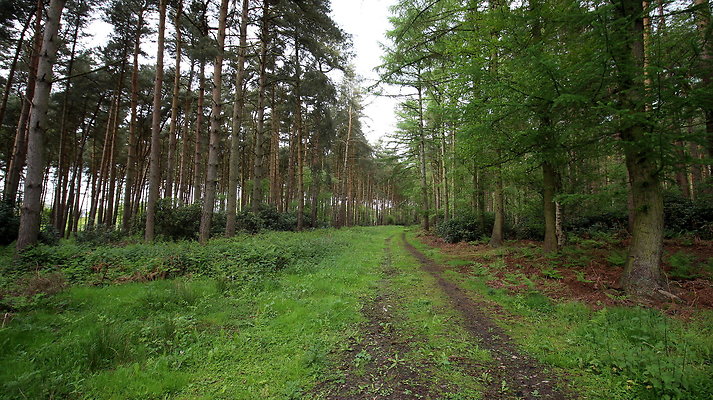 cholmondley044 cholmondley044