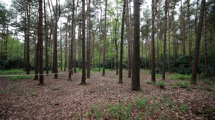 cholmondley015 cholmondley015