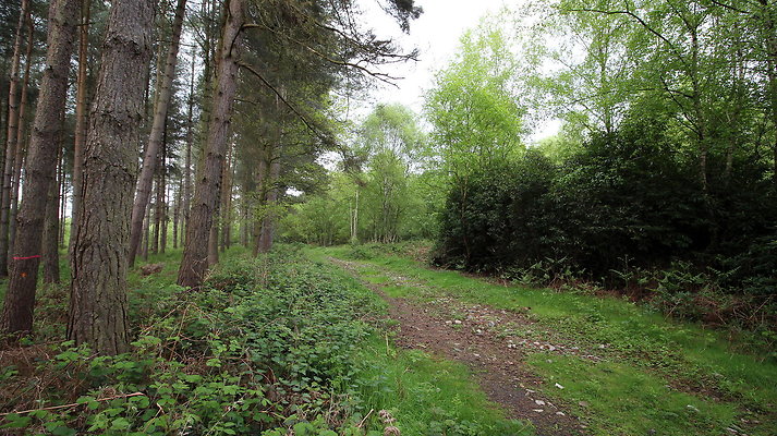 cholmondley022 cholmondley022