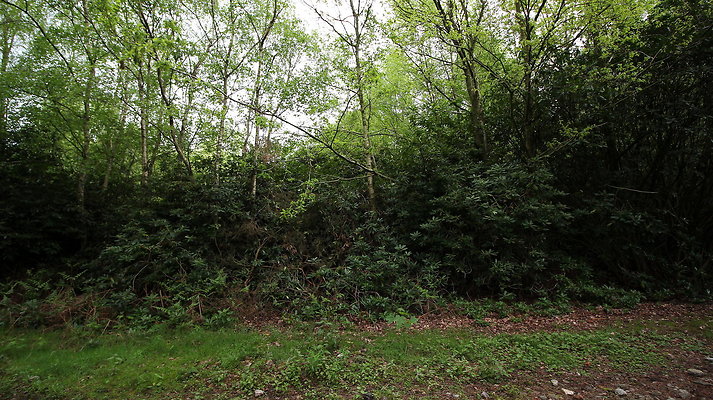 cholmondley023 cholmondley023