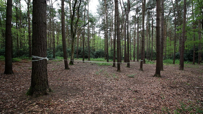 cholmondley014 cholmondley014