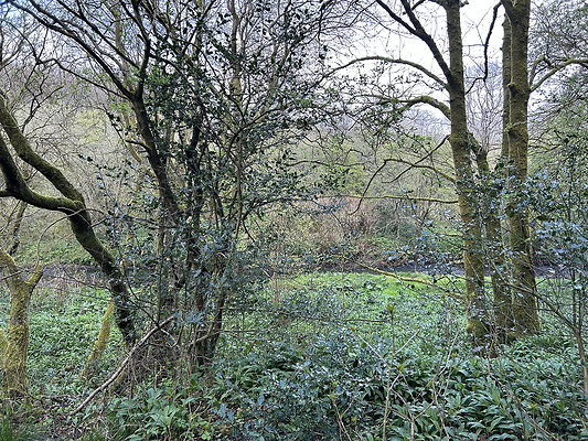 daisynook041 daisynook041