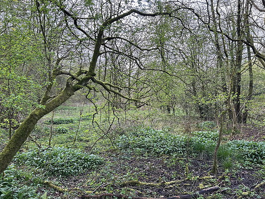 daisynook038 daisynook038