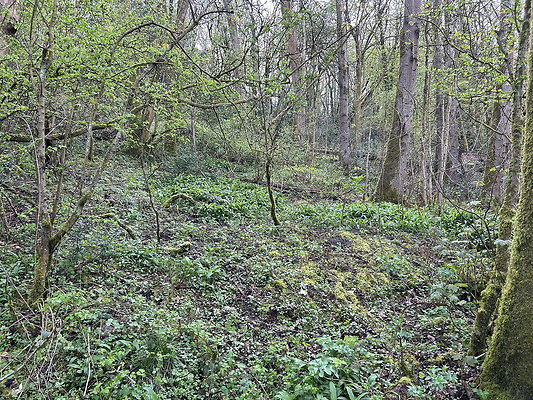 daisynook036 daisynook036