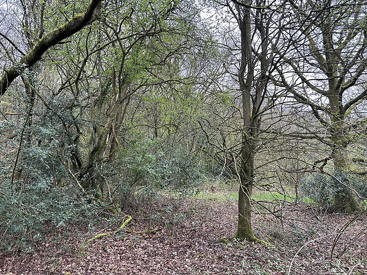 daisynook053 daisynook053