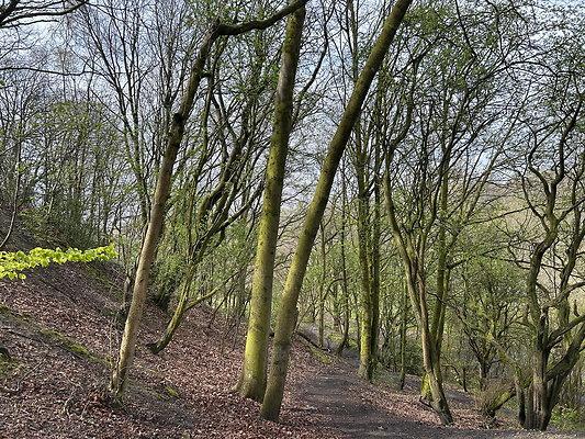 daisynook023 daisynook023