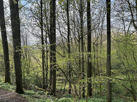 daisynook026 daisynook026