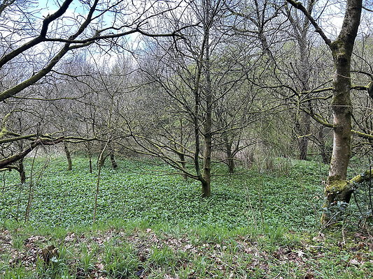 daisynook045 daisynook045