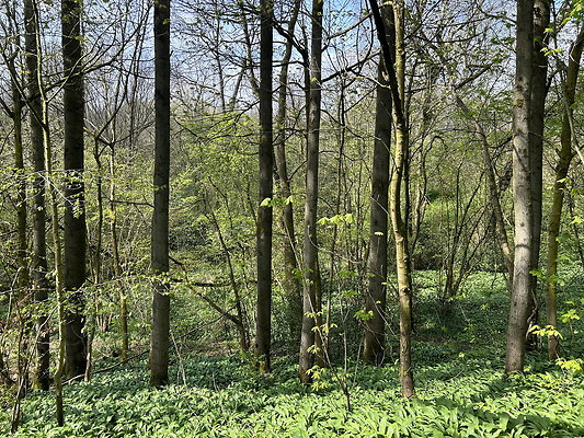 daisynook027 daisynook027