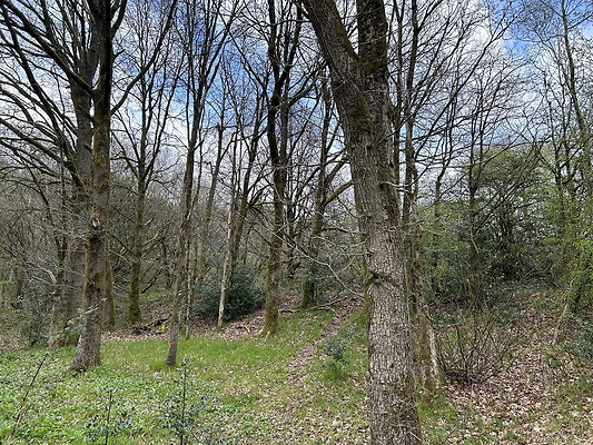 daisynook057 daisynook057