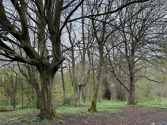 daisynook065 daisynook065