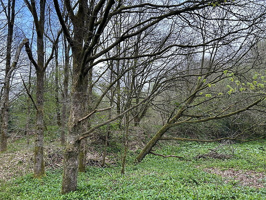 daisynook063 daisynook063