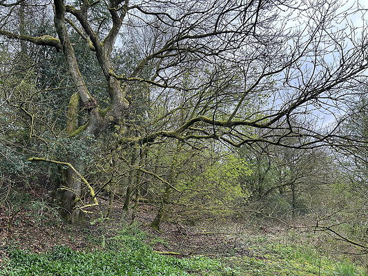 daisynook051 daisynook051