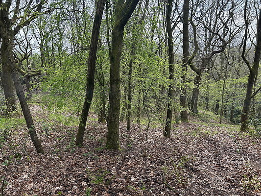 Oldham - Daisy Nook Country Park