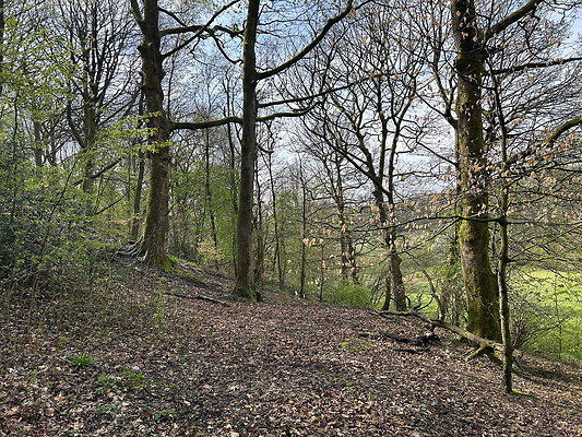 daisynook018 daisynook018