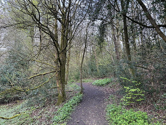 daisynook031 daisynook031