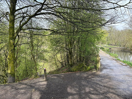 daisynook024 daisynook024