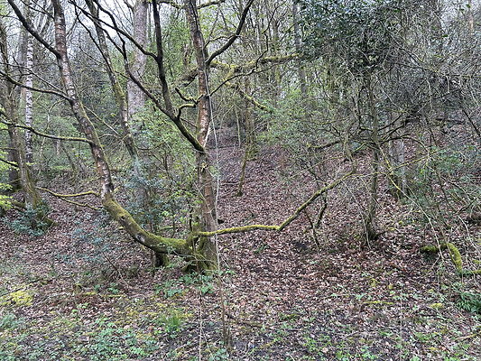 daisynook047 daisynook047