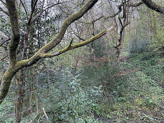 daisynook035 daisynook035