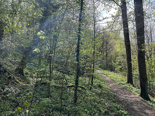 daisynook025 daisynook025